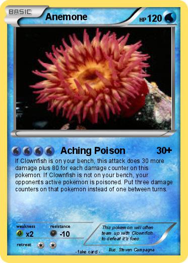 Pokemon Anemone