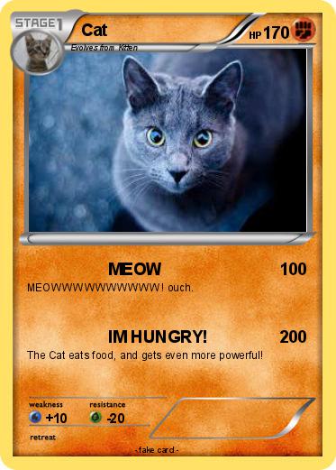 Pokemon Cat