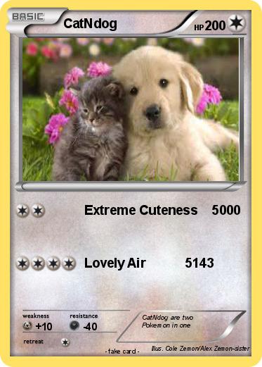 Pokemon CatNdog