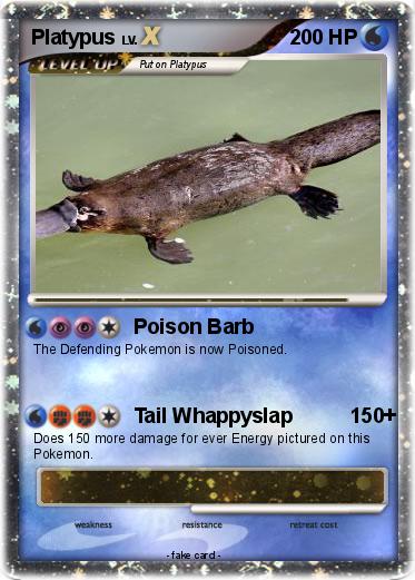 Pokemon Platypus
