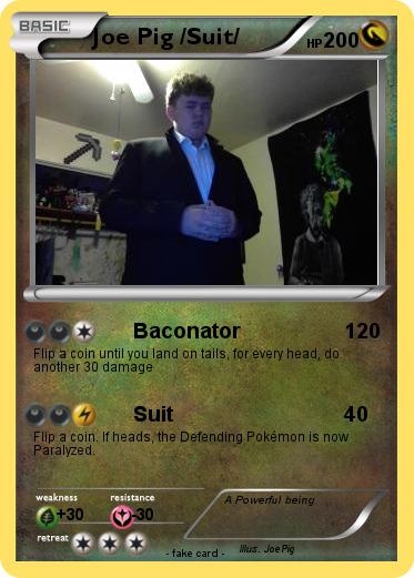 Pokemon Joe Pig /Suit/
