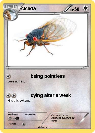 Pokemon cicada