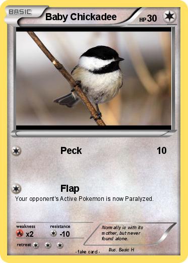 Pokemon Baby Chickadee