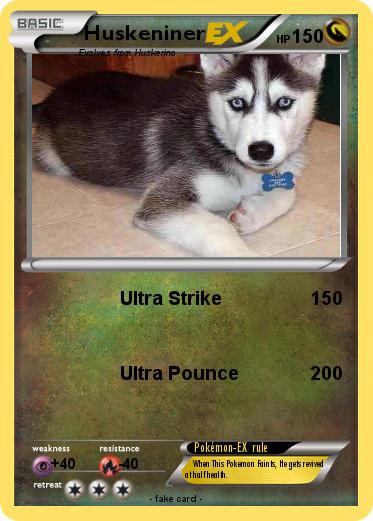 Pokemon Huskeniner