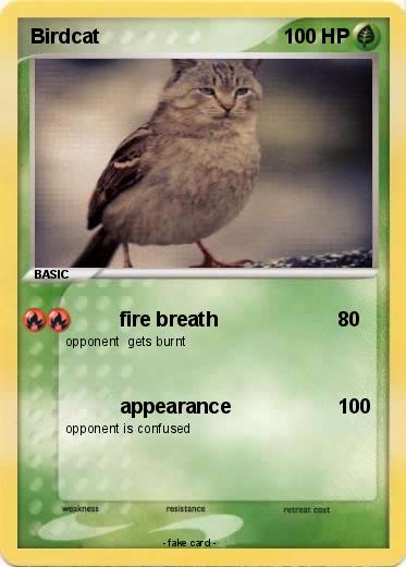 Pokemon Birdcat