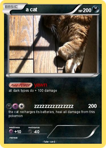 Pokemon a cat