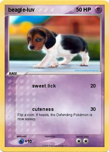 Pokemon beagle-luv