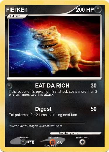 Pokemon FlErKEn