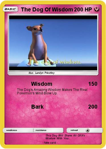 Pokemon The Dog Of Wisdom
