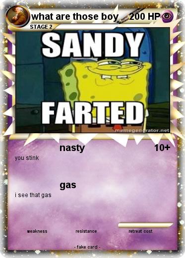 Pokemon what are those boy