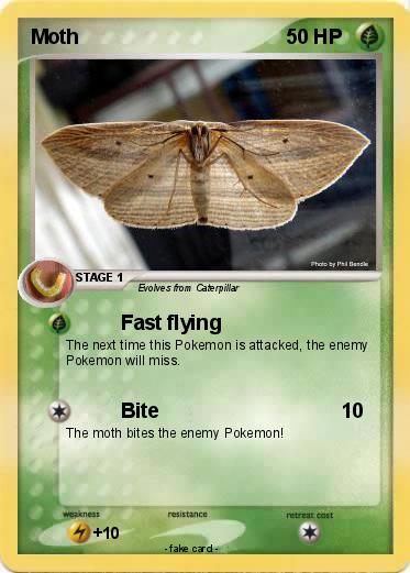 Pokemon Moth