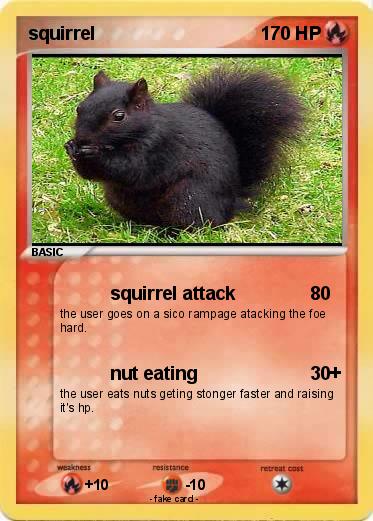Pokemon squirrel