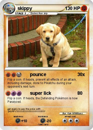 Pokemon skippy