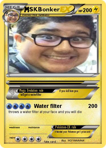 Pokemon SKBonker