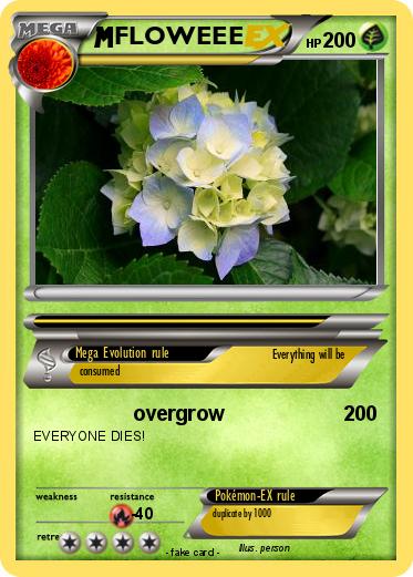 Pokemon FLOWEEE