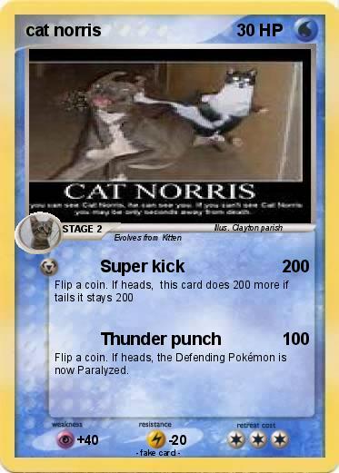 Pokemon cat norris