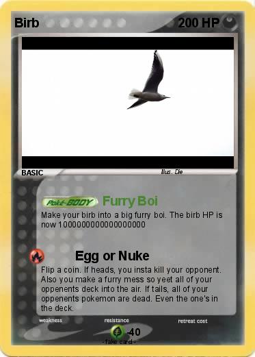 Pokemon Birb