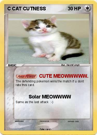 Pokemon C CAT CUTNESS