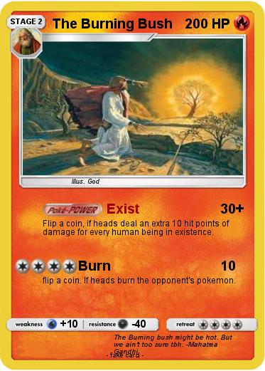 Pokemon The Burning Bush