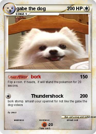 Pokemon gabe the dog