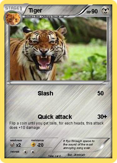 Pokemon Tiger