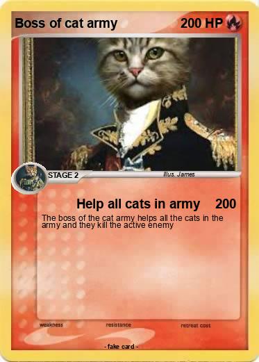 Pokemon Boss of cat army