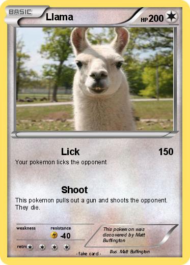 Pokemon Llama