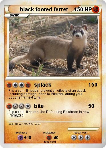Pokemon black footed ferret