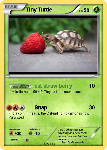 Pokemon Tiny Turtle