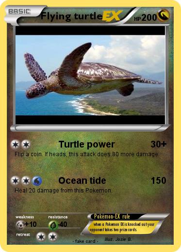 Pokemon Flying turtle