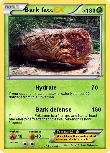 Pokemon Bark face