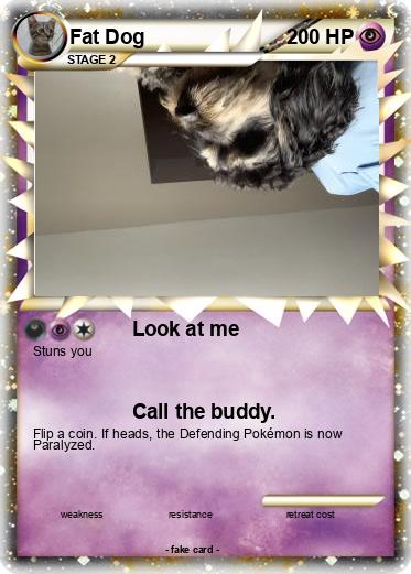 Pokemon Fat Dog