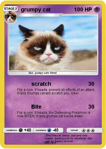 Pokemon grumpy cat