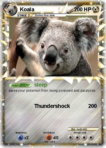 Pokemon Koala