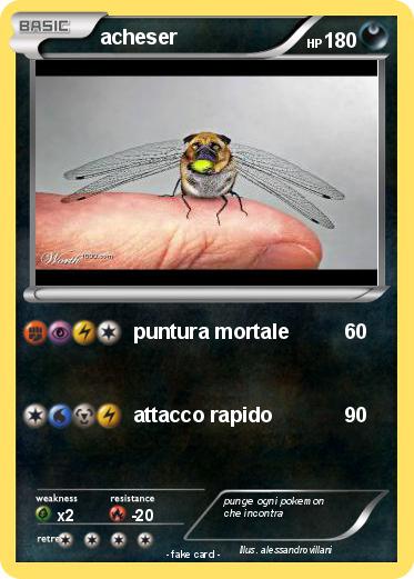 Pokemon acheser
