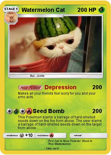 Pokemon Watermelon Cat