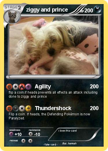 Pokemon ziggy and prince
