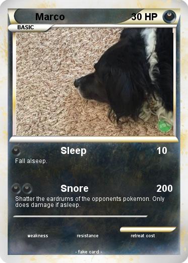 Pokemon Marco