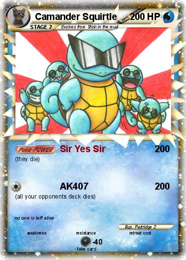 Pokemon Camander Squirtle