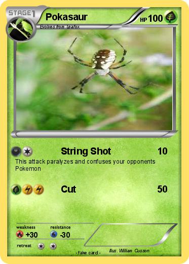 Pokemon Pokasaur