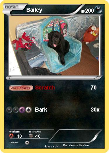 Pokemon Bailey