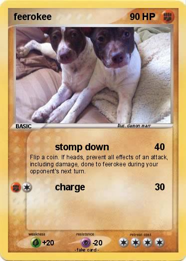 Pokemon feerokee