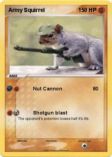 Pokemon Army Squirrel
