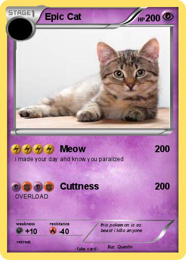 Pokemon Epic Cat