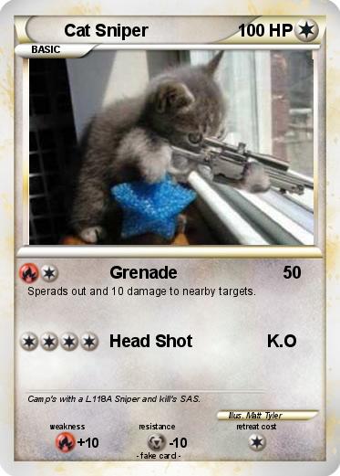 Pokemon Cat Sniper