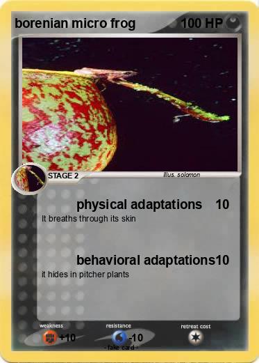 Pokemon borenian micro frog