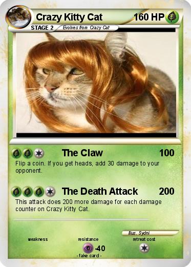 Pokemon Crazy Kitty Cat