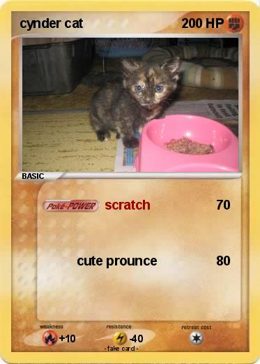 Pokemon cynder cat