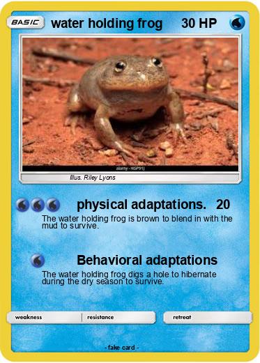 Pokemon water holding frog