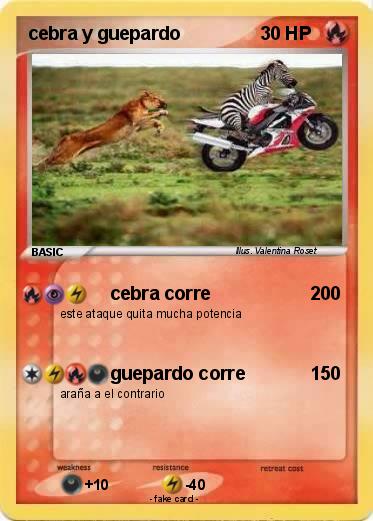 Pokemon cebra y guepardo